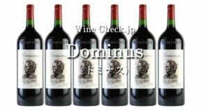 Dominus top_002