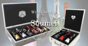 Soumei Attache Case top_001